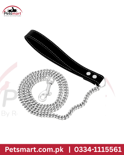 Chain leash S