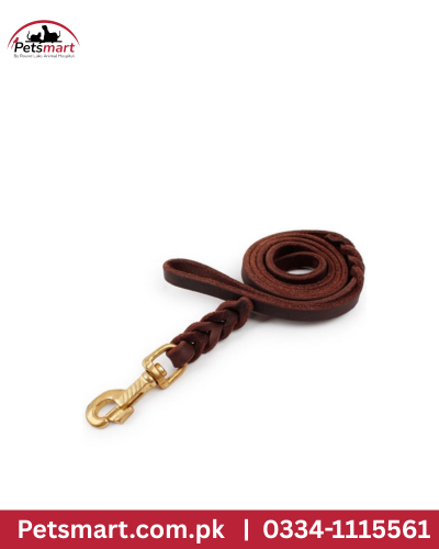 GSD Leather leash large