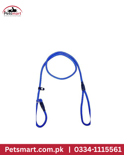 Yabeibi lab choke leash