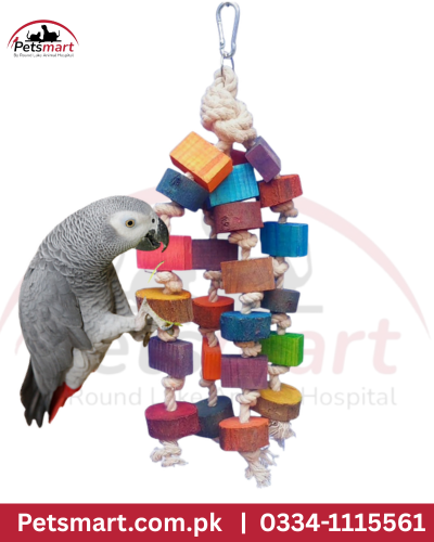 Bird wood wonder
