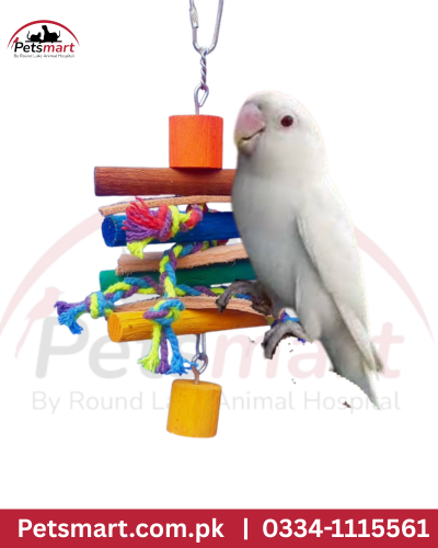 Bird block and knots