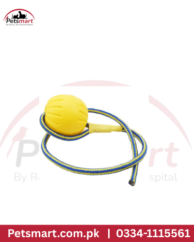 GSD Dog training ball with rope L