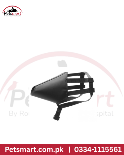 cat muzzle