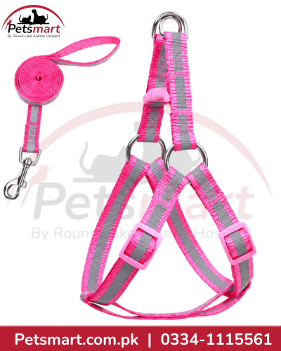 Pink adjustable step-in dog harness with matching leash and metal clip
