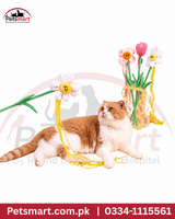 Plastic flower wand cat toy with dangling ribbons for interactive cat play