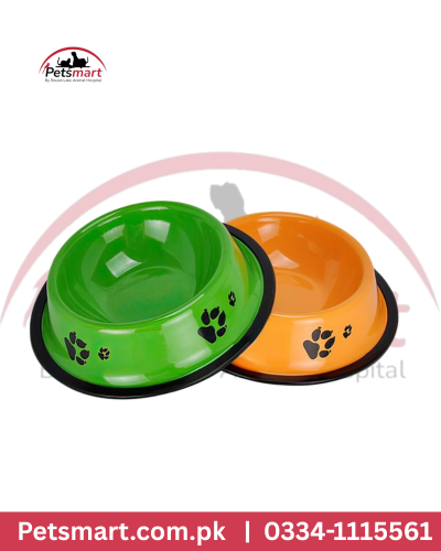 Red and green plastic pet feeding bowl for cats and dogs