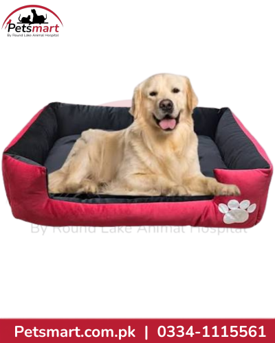 Premium large pet bed for comfortable indoor resting