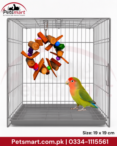 A gray metal pet cage with a hanging wooden toy and a small green-and-pink bird standing inside, shown on a white background with Petsmart branding and size text.