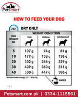 Royal Canin Anallergenic Veterinary Dog Food 3kg daily feeding guide by dog weight and body condition