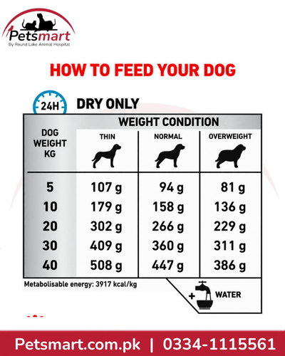 Royal Canin Anallergenic Veterinary Dog Food 3kg daily feeding guide by dog weight and body condition