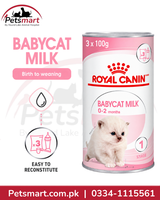 Royal Canin Babycat Milk easy to reconstitute kitten milk powder with nursing kit
