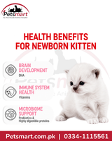 Royal Canin Babycat Milk supporting kitten immune system and microbiome with prebiotics and digestible proteins