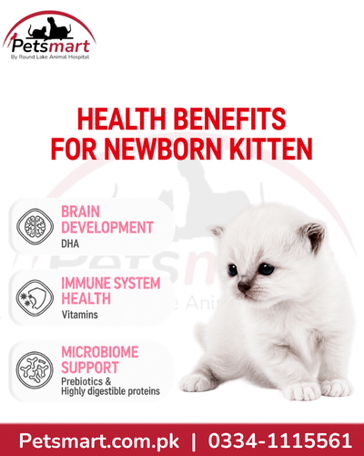 Royal Canin Babycat Milk supporting kitten immune system and microbiome with prebiotics and digestible proteins