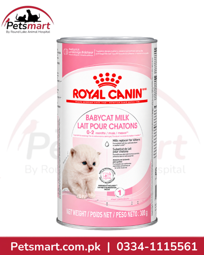 Royal Canin Babycat Milk 300g kitten milk replacer for newborn kittens from birth to weaning