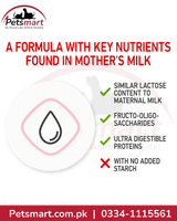 Royal Canin Babycat Milk formula with adapted lactose prebiotics and highly digestible proteins