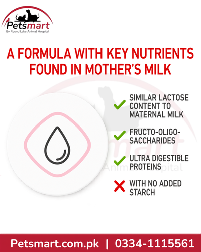 Royal Canin Babycat Milk formula with adapted lactose prebiotics and highly digestible proteins