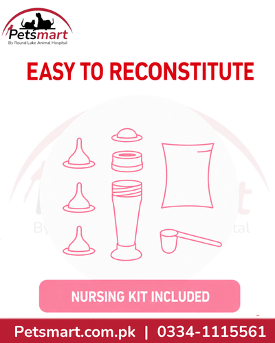Royal Canin Babycat Milk 300g nursing kit with bottle teats measuring scoop and milk sachets