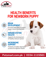 Royal Canin Babydog Milk benefits for brain development immune system and microbiome support
