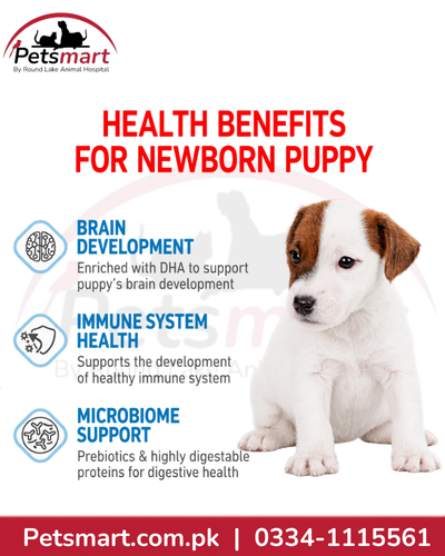 Royal Canin Babydog Milk benefits for brain development immune system and microbiome support