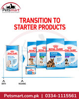 Royal Canin Babydog Milk transition from milk feeding to puppy starter food