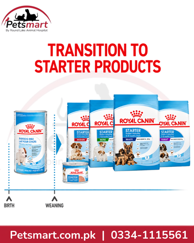 Royal Canin Babydog Milk transition from milk feeding to puppy starter food