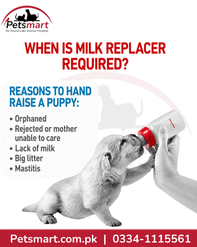 Royal Canin Babydog Milk information for puppies requiring milk replacement or supplementary feeding