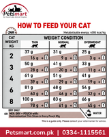 Royal Canin Gastrointestinal cat food 400g daily dry and mixed feeding guide