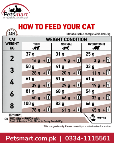 Royal Canin Gastrointestinal cat food 400g daily dry and mixed feeding guide