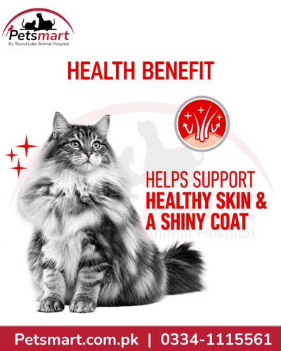 Royal Canin Hair and Skin Care internal study results for skin and coat quality after three weeks