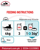 Royal Canin Hairball Care Jelly feeding instructions for adult cats