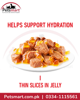 Royal Canin Hairball Care thin slices in jelly wet cat food supporting hydration