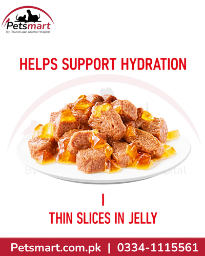 Royal Canin Hairball Care thin slices in jelly wet cat food supporting hydration