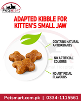 Royal Canin Kitten adapted kibble designed for a kitten's small jaw