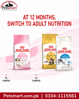 Royal Canin seven day kitten food transition guide from 25 percent to 100 percent new food