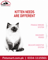 Royal Canin Kitten health benefits including immune support brain development and microbiome support