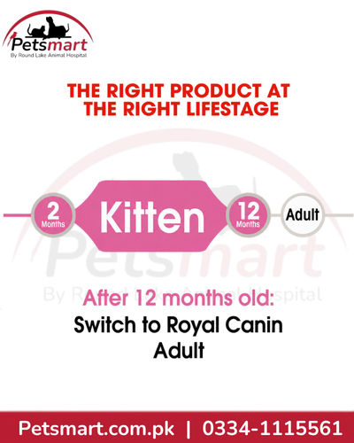 Royal Canin Kitten Jelly life stage guide for kittens from 2 to 12 months