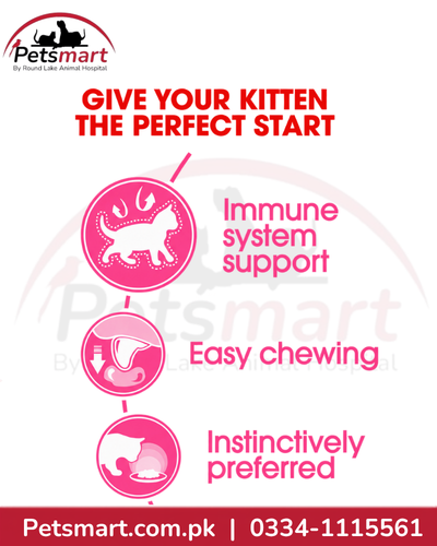 Royal Canin Kitten Jelly immune system support easy chewing and instinctively preferred benefits