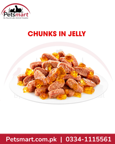 Royal Canin Kitten wet food soft chunks in jelly texture