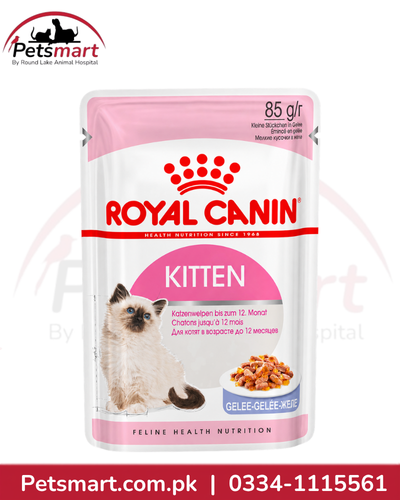 Royal Canin Kitten Jelly 85g wet cat food pouch for growing kittens