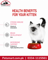 Royal Canin kitten nutritional needs for immune system growth and digestive development