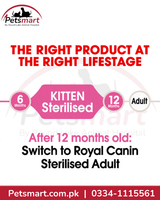 Royal Canin Kitten Sterilised life stage from 6 to 12 months before Sterilised Adult food