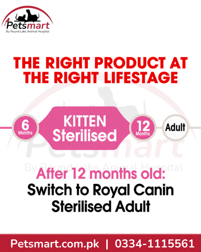 Royal Canin Kitten Sterilised life stage from 6 to 12 months before Sterilised Adult food