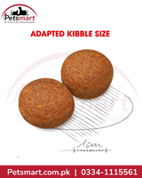 Royal Canin Maxi Adult adapted kibble size for large breed dogs