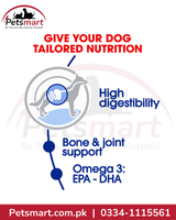 Royal Canin Maxi Adult digestive bone joint and omega-3 nutritional benefits