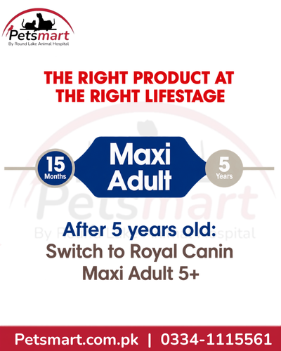 Royal Canin Maxi Adult life stage guide from 15 months to 5 years