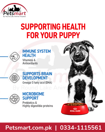 Royal Canin Maxi Puppy health benefits for immune system brain development and microbiome support