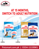 Royal Canin Maxi Puppy mixed dry and wet feeding guide by age and expected adult weight