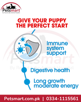 Royal Canin Maxi Puppy nutrition formulated to support the developing immune system