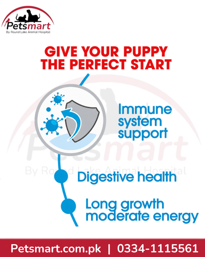 Royal Canin Maxi Puppy nutrition formulated to support the developing immune system