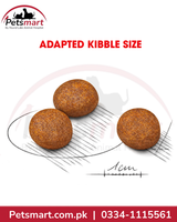 Royal Canin Maxi Puppy adapted round kibble size for large breed puppies